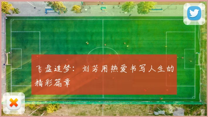 飞盘追梦:刘芳用热爱书写人生的精彩篇章