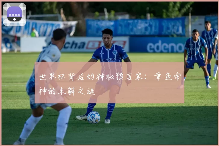 世界杯背后的神秘预言家：章鱼帝神的未解之谜