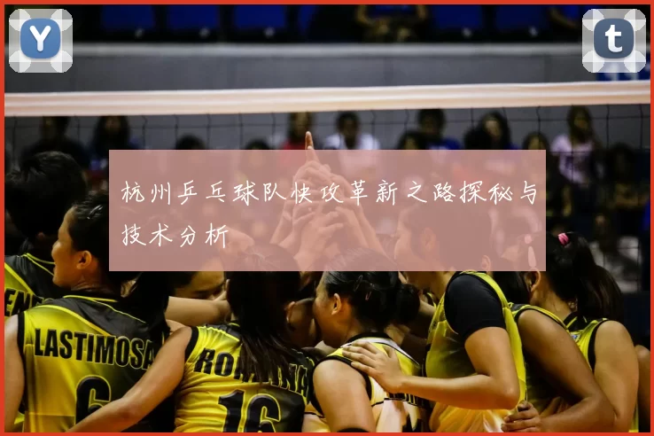 杭州乒乓球队快攻革新之路探秘与技术分析