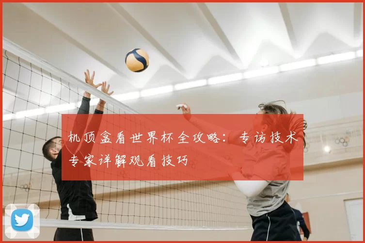 机顶盒看世界杯全攻略:专访技术专家详解观看技巧