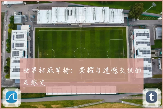世界杯冠军榜:荣耀与遗憾交织的足球史