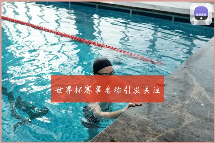 世界杯赛事名称引发关注