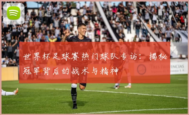 世界杯足球赛热门球队专访:揭秘冠军背后的战术与精神