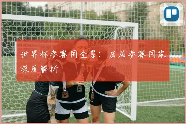 世界杯参赛国全景：历届参赛国家深度解析