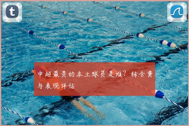 中超最贵的本土球员是谁?转会费与表现评估