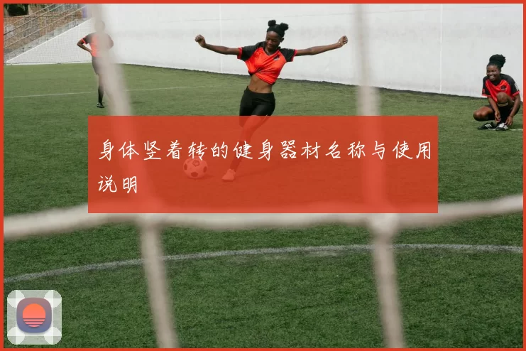 身体竖着转的健身器材名称与使用说明