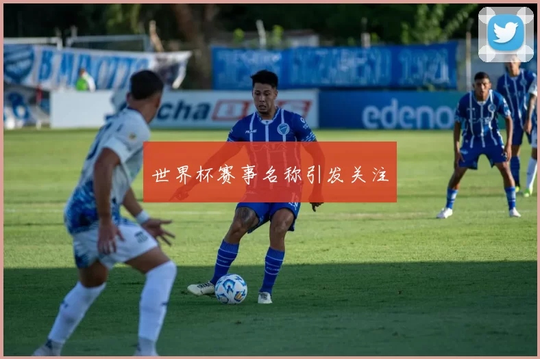 世界杯赛事名称引发关注