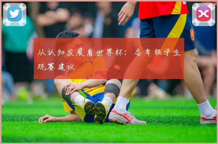 从认知发展看世界杯:各年级学生观赛建议