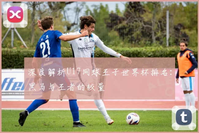 深度解析U17网球王子世界杯排名:黑马与王者的较量