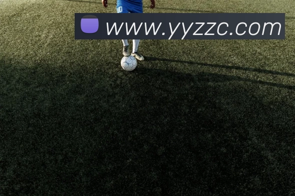 kaiyun平台生态图